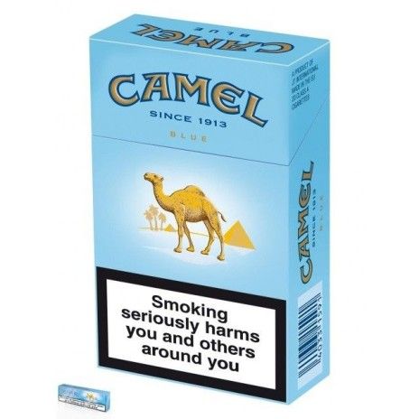 Camel Light