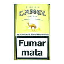 Camel